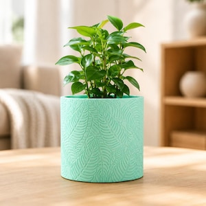 May include: A small, vibrant green plant in a light teal cylindrical pot with a leaf pattern. The plant has many bright green leaves and sits on a wooden table. The pot is approximately 5 inches in diameter.
