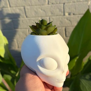 May include: A matte white planter shaped like an alien head with large, smooth, oval-shaped eyes and a small nose. The top of the head is open and contains a small, dark green artificial succulent plant nestled in green moss.
