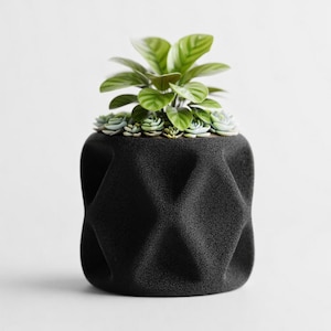 Puede incluir: Una maceta negra con un patrón geométrico, llena de una planta verde de hojas y pequeñas suculentas. La maceta tiene una superficie texturizada y un diseño moderno, adecuada para uso en interiores o exteriores.