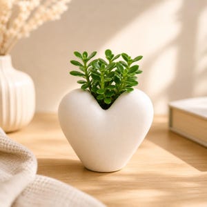 May include: A white heart-shaped ceramic planter filled with a small green plant. The planter has a smooth, matte finish and sits on a wooden surface. A white vase and a book are in the background.