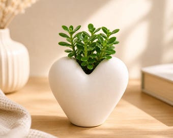 Heart Planter Succulent Pot | 3D Printed Minimalist Plant Pot | Cute Desk Decor | Gift for Mom Girlfriend | Modern Indoor Planter Small