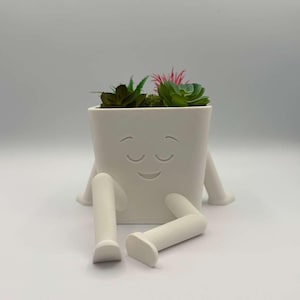 Peut inclure: Un pot de fleurs blanc, de forme carrée, avec un visage souriant et des jambes, contenant un petit assortiment de succulentes artificielles vertes et rouges. Le pot est conçu pour donner l'impression qu'il est assis.
