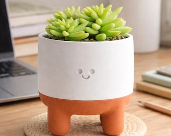 Cute Succulent Planter with Legs, Kawaii Face Plant Pot, Small Indoor Planter 5 Inch, Desk Decor Aesthetic, Unique Gift for Plant Lovers