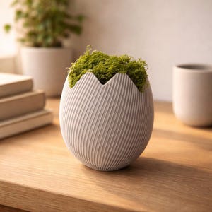 Puede incluir: Una maceta gris claro en forma de huevo con una superficie texturizada y acanalada, llena de musgo verde vibrante. La maceta está sobre una superficie de madera, con otra decoración de tonos neutros en el fondo. Un artículo decorativo.