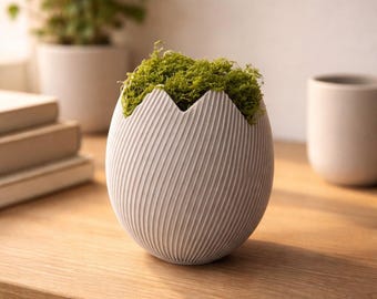 Cracked Egg Planter, Easter Decor Planter, Succulent Pot, 3D Printed Modern Planter, Unique Indoor Plant Pot, Gift for Plant Lovers