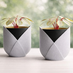 May include: Two modern planters with small plants. The planters are light gray with a geometric design, black interiors, and gold rims. The plants have light green leaves and red stems. The background is a blurred green.
