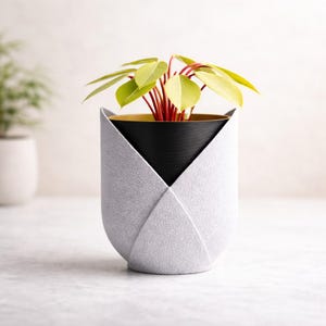 Tulip Planter Self Watering, Modern Minimalist Plant Pot, 3D Printed Two Tone Planter, Indoor Succulent Planter, Desk Decor Gift