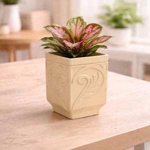 Self Watering Planter Pot, Square Indoor Planter with Insert, Modern Decorative Plant Pot, Small Desk Planter, Minimalist Home Decor