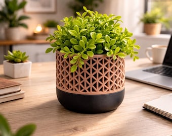 Modern Geometric Planter, 3D Printed Planter Pot, Minimalist Desk Planter, Small Indoor Plant Pot, Office Desk Decor, Succulent Planter