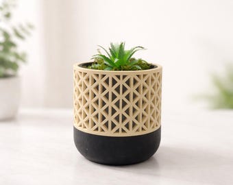 Modern Geometric Planter, 3D Printed Planter Pot, Minimalist Desk Planter, Small Indoor Plant Pot, Office Desk Decor, Succulent Planter