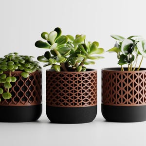 Puede incluir: Tres plantas en macetas con follaje verde. Las macetas son cilíndricas con un diseño geométrico marrón en la mitad superior y una base negra. Las plantas varían en tamaño y tipo, creando una disposición visualmente atractiva.