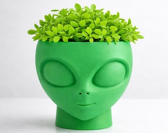 Alien Head Planter Pot, Funny Cute Plant Pot, Unique Desk Decor, Succulent Planter, Sci-Fi Home Decor, Gift for Plant Lovers, 3D Planter