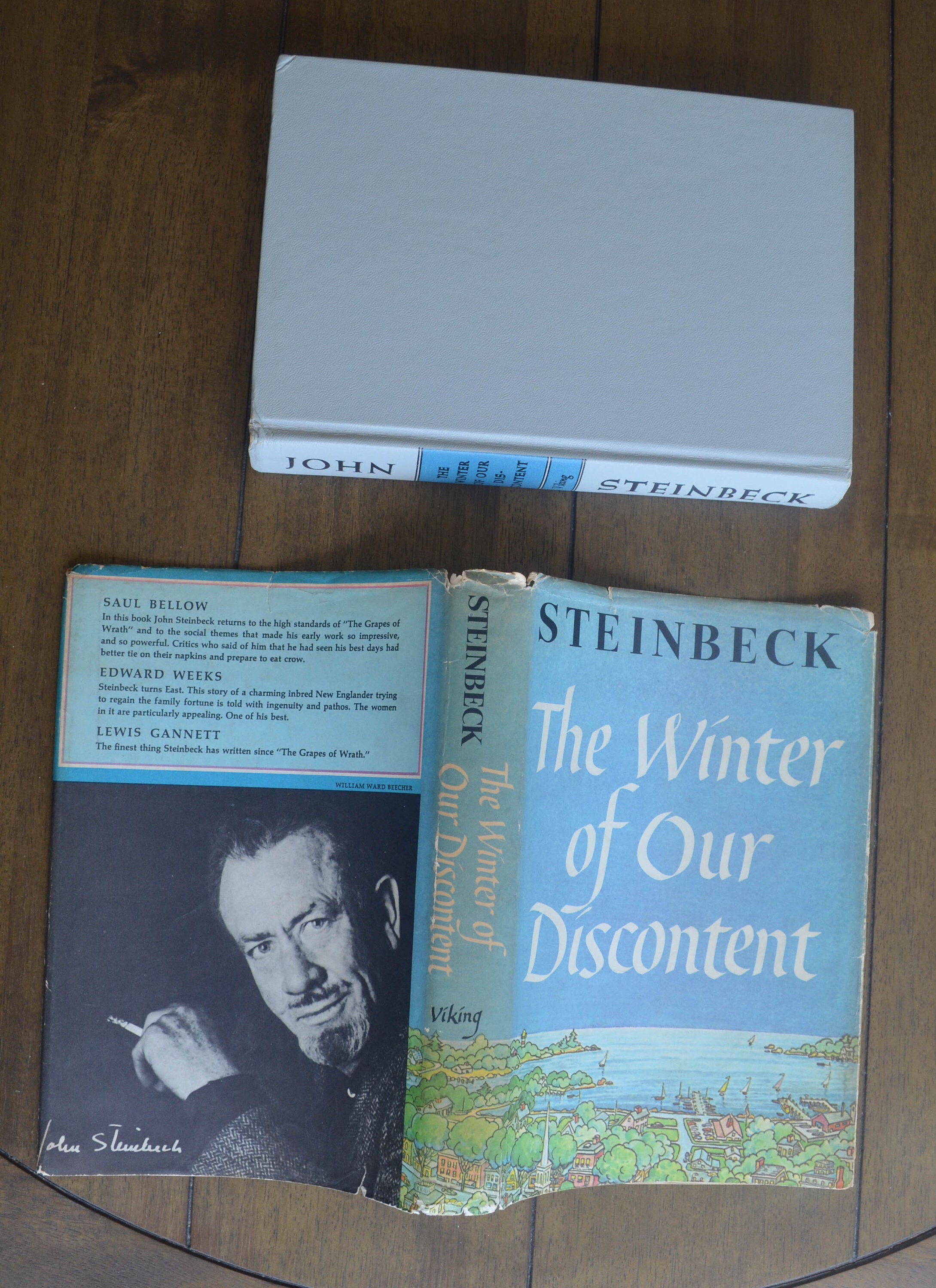 the winter of our discontent book the winter of our discontent book