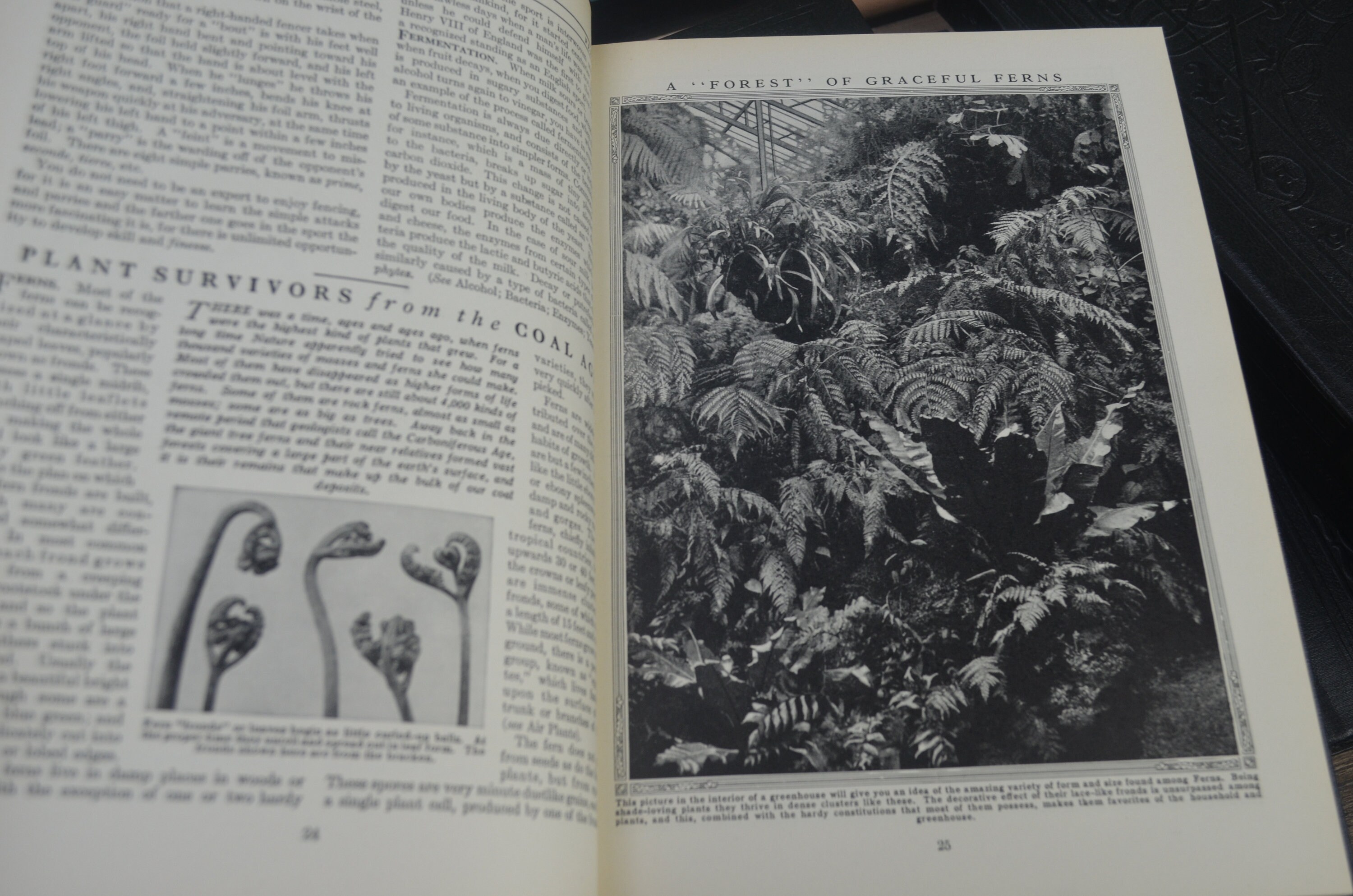 Compton's Pictured Encyclopedia and Fact Index, S/15, F. E.