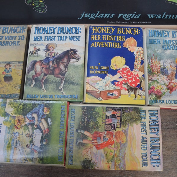 Honey Bunch Books, Helen Louise Thorndyke, Grosset and Dunlap, 1923-1940, Dust Jacket with Mylar Cover, Vintage Children's Series