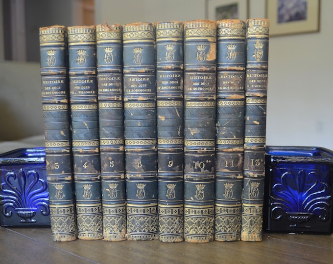 1826, Histoire des Ducs de Bourgogne s/8, De La Maison de Valois, 1564-1477, De Barante, Eight Antique French History Books Leather France