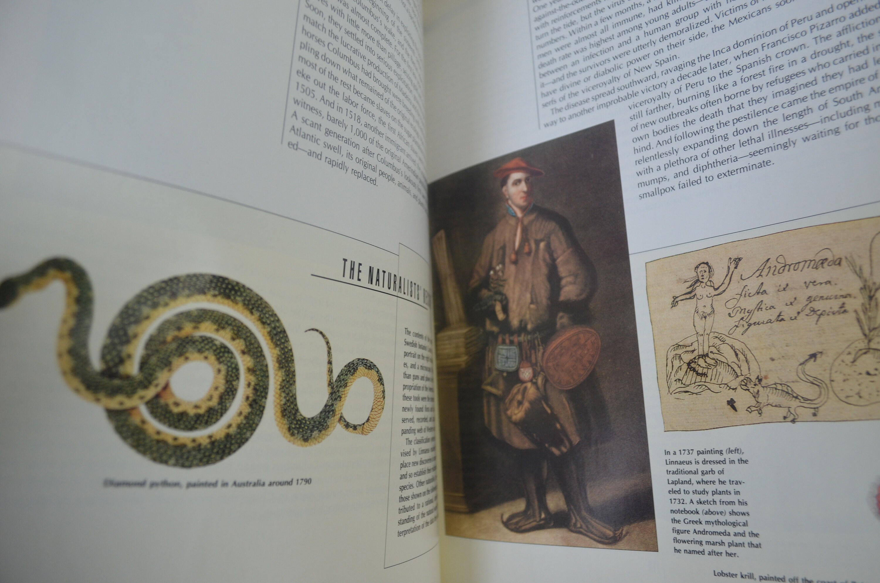 Time-life Series, Time Frame Series. S/24, Late 1980s, Early 1990s, Illustrated History Volumes - Etsy Time-life Series, Time Frame Series. S/24, Late 1980s, Early 1990s, Illustrated History Volumes - Etsy