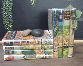 Bobbsey Twins, Laura Lee Hope, 1950s Illustration Cover, Dust Jackets, Now Under Mylar Covers, Vintage Children’s Books