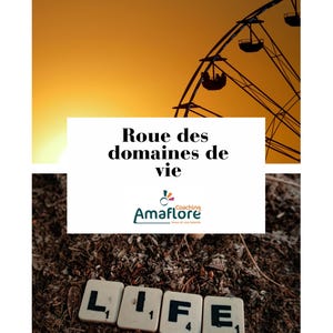 Op de afbeelding: Afbeelding met silhouet van een reuzenrad tegen een gouden zonsondergang. De tekst "Roues des domaines de vie" en het woord "LIFE" in Scrabble-letters zijn zichtbaar. Het Amaflore coaching logo is ook aanwezig.