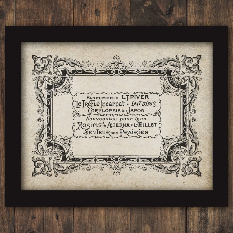 French Perfume Label Text Script Intricate Frame Work Etsy