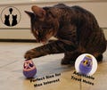 Wobbo Cat Treat Toy – Interactive Wobbly Toy for Small Pets, Adjustable Holes and Washable