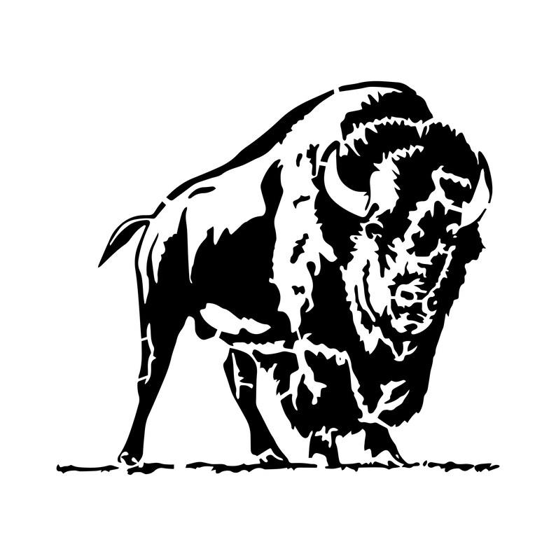 K&ouml;nnte beinhalten: Schwarz-Wei&szlig;-Illustration eines Bisons. Der Bison ist im Seitenprofil dargestellt, nach vorne gerichtet und mit gesenktem Kopf. Das Bild ist eine grafische Darstellung des Tieres mit kr&auml;ftigen Linien und einem minimalistischen Stil.