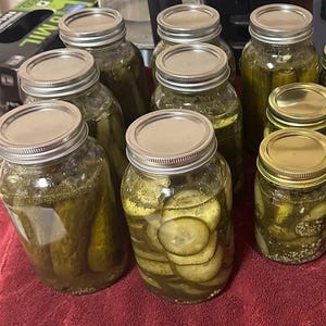 Può includere: Diversi barattoli di vetro pieni di sottaceti, alcuni interi e altri a fette. I sottaceti sono conservati in una salamoia trasparente e i barattoli sono sigillati con coperchi di metallo. I barattoli sono disposti su una superficie rossa.