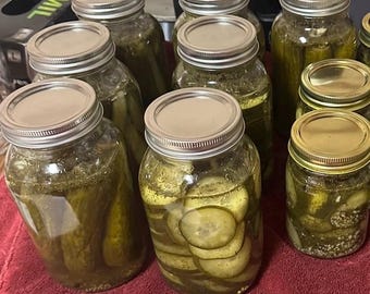 Pepinillos encurtidos en conserva caseros