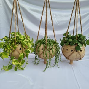 May include: Three hanging planters with plants. The planters are made of a light brown material and have a round shape with decorative holes. Each planter is suspended by a brown rope. The plants have green and yellow leaves.