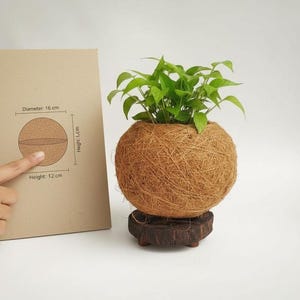 Kokedama Planter Pot | Coconut Fiber Indoor Planter | Handmade Eco Friendly Plant Holder | Small Natural Home Decor | Plant Not Included