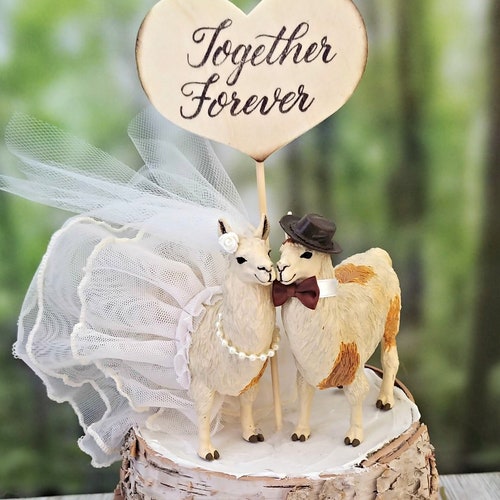 12 Decorazioni Per Torta Alpaca E Cactus - Topper Compleanno A Tema Natura Per Bambini
