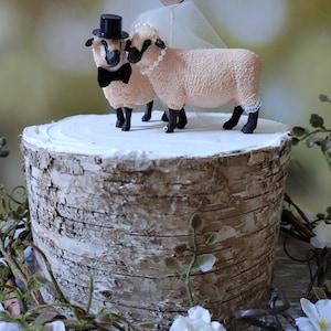 Pu&ograve; includere: Un topper per torta nuziale con una statuina di pecora sposa e sposo. La pecora sposa indossa un velo bianco e una collana di perle. La pecora sposo indossa un cappello a cilindro nero e un papillon nero. Il topper ha un piccolo cartello di legno a forma di cuore che dice "We Do!"