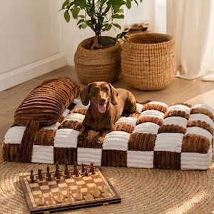 Puede incluir: Un perro dachshund marrón descansa sobre una cama para perros a cuadros con una almohada a juego. La cama es marrón y blanca, y un juego de ajedrez de madera está cerca. Cestas tejidas y una planta en maceta están en el fondo.