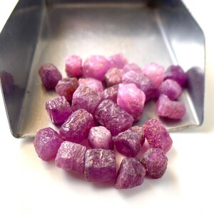 May include: A collection of small, raw, unpolished ruby gemstones with a deep pinkish-red hue and irregular, faceted crystal shapes. The stones are piled together inside a metallic silver-coloured scoop with a wide, open-ended design.