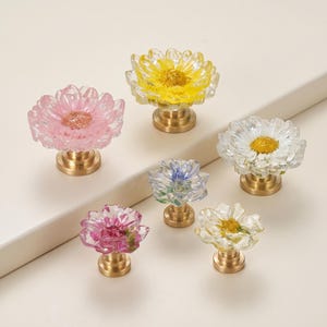 Peut inclure: Un ensemble de six boutons de placard en forme de fleur avec des pétales translucides roses, jaunes, blancs, bleus et violets, montés sur une base métallique circulaire couleur laiton. Les boutons varient en taille et en couleur.