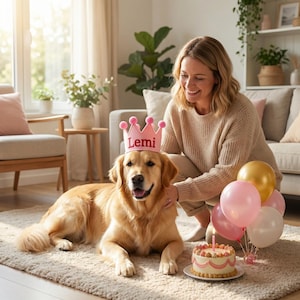 Custom Dog Birthday Crown, Embroidered Felt Pet Hat with Name, Cat Gotcha Day Tiara, Puppy Barkday Photo Prop, Pom Pom Dog Mom Gift