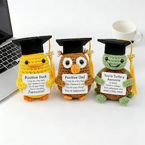Anpassad examenspresent till klass 2026, rolig emotionell stödjande anka, uggla, sköldpadda, plysch, gymnasiepresent till sistaårsstudent, virkat skrivbordsdjur