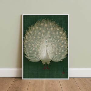 Lámina artística de pavo real blanco meticulosamente detallada, elegante decoración de pared, estilo botánico minimalista. imagen 3