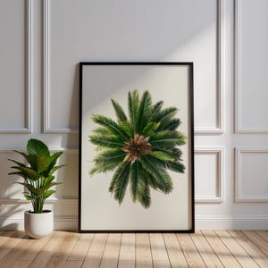 Uppifrån och ner-tryck av ormbunketräd, tropisk väggkonst, minimalistisk palmbladsaffisch, botanisk luftfoto, stor beige naturväggdekor, kottepalmsaffisch