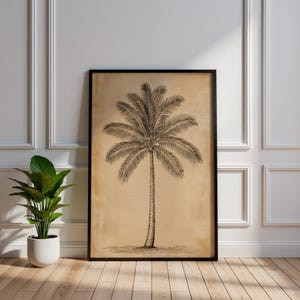 Vintage Palm Tree Art Print, Antique Botanical Sketch, Tropical Tree Wall Decor, Coastal Farmhouse Illustration, Sepia Toned Nature Poster