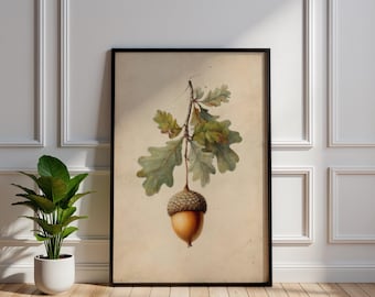 Vintage Oak Branch Botanical Art Print, Large Acorn Illustration, Rustic Fall Wall Decor, Antique Nature Poster, Autumnal Woodland Gift