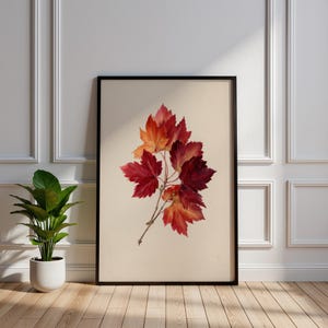 May include: A framed print showcasing a collection of autumnal leaves in shades of red and orange. The leaves are attached to a thin branch, set against a cream backdrop. The artwork is presented in a black frame, enhancing its visual appeal.