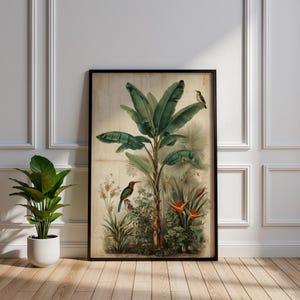 Vintage botanische bananenboom & paradijsvogel kunstafdruk | Tropische jungle muurdecoratie | Antieke bloemenillustratie | Exotische natuurposter