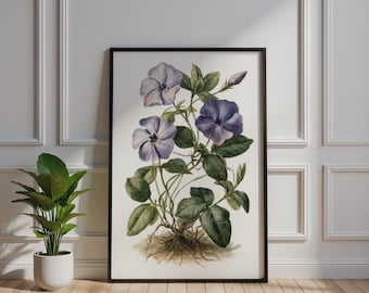 Póster botánico de flor de genciana, lámina decorativa de pared en tinta de acuarela azul y púrpura.