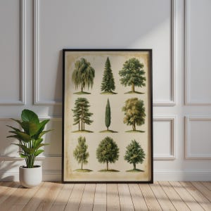 May include: A framed botanical print featuring nine distinct tree illustrations arranged in a grid. Each tree is depicted in shades of green against a light, aged parchment-coloured background, showcasing various species with unique foliage and shapes.