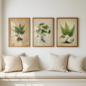 Può includere: Tre stampe botaniche incorniciate con illustrazioni dettagliate di felci e altre piante. Le stampe hanno un'estetica vintage con una palette di colori neutri e sono esposte sopra una panca con cuscini dai colori neutri.