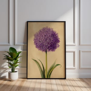 Peut inclure: Impression botanique encadrée d'une fleur d'ail pourpre. La fleur sphérique est soutenue par une tige et des feuilles vertes. L'œuvre d'art est placée sur un fond beige et encadrée en noir, idéale pour la décoration intérieure.