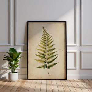 Plakat z motywem botanicznym paproci w stylu vintage, antyczna ilustracja, sztuka ścienna, wystrój Cottagecore, rustykalny plakat z paprociami, wystawa sztuki przyrodniczej, wydruk cyfrowy