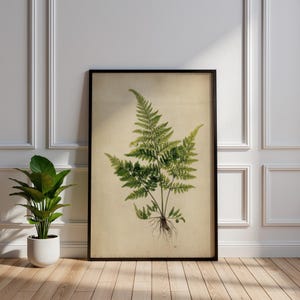 May include: A framed botanical print depicting a detailed illustration of a fern plant. The fern, with its green fronds and visible roots, is set against a beige background. The artwork is encased in a black frame. A potted plant is in the foreground.