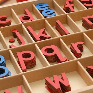 May include: A wooden tray with multiple compartments filled with red and blue wooden lowercase letters. The letters are stacked in neat piles, ready for educational activities. The tray is made of light-colored wood.
